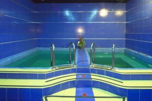 Сауна Попугай