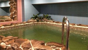 Сауна Релакс