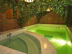 Сауна Дворянское гнездо