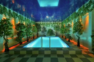 Сауна Магистр