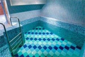 Сауна Антей