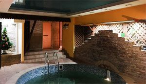 Vip - сауна Дичь