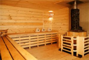 Элитный банный комплекс Конек Горбунок