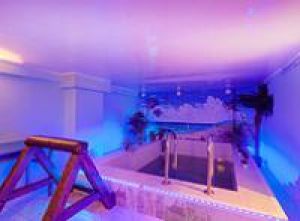 Сауна Веселый Веник