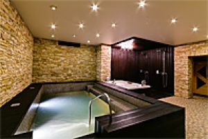 Сауна Дельта